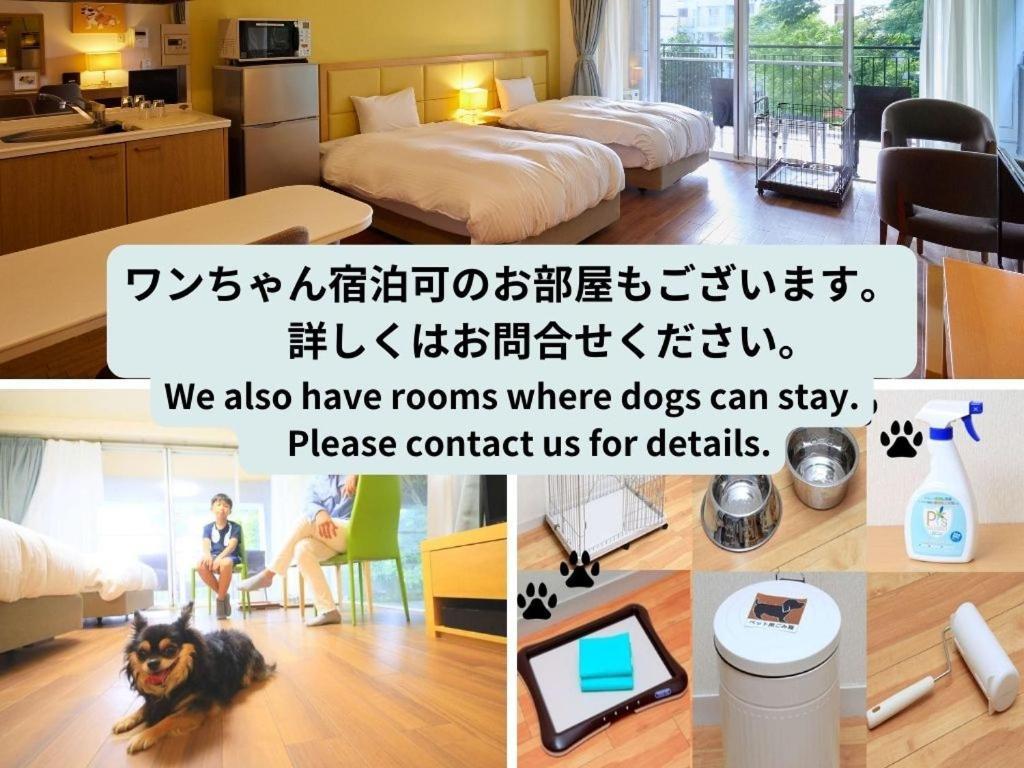 雷泽尼特城崎套房别墅 丰冈市 外观 照片